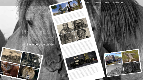 Moderne Websites Database